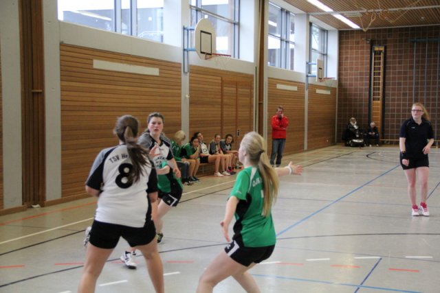 2017_02_19 Landesliga Frauen und Jugend 19